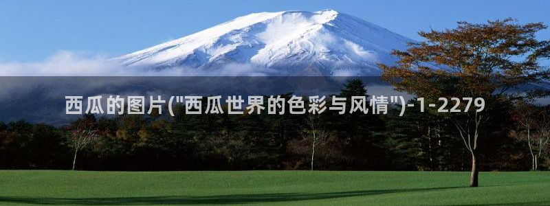 西瓜电影大全免费观看