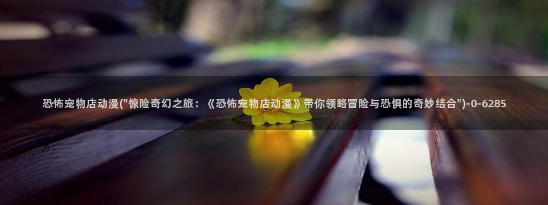 免费动漫网