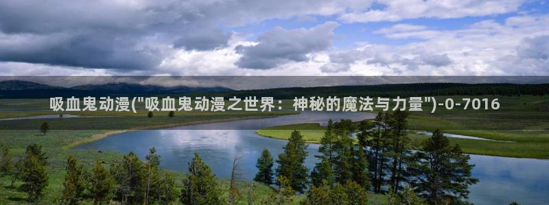 全职高手动漫免费观看