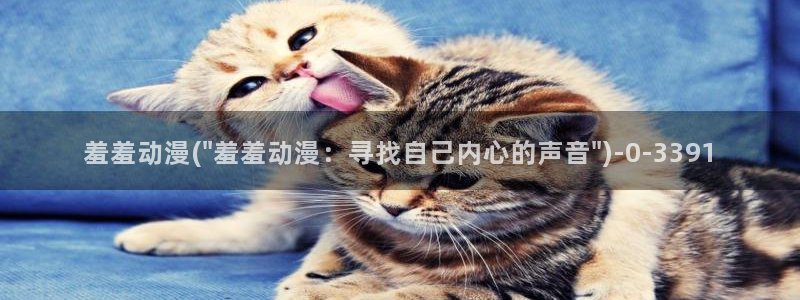 海贼王动漫