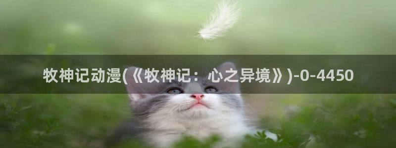 58动漫网
