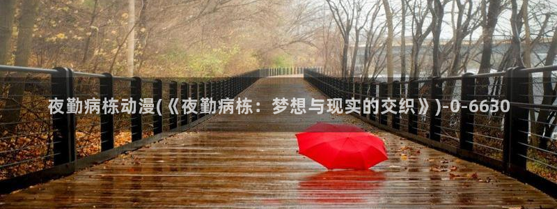 少年男仆库洛动漫